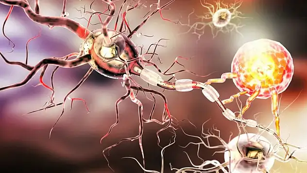 Yeni Bir Mikrop Türü Keşfedildi