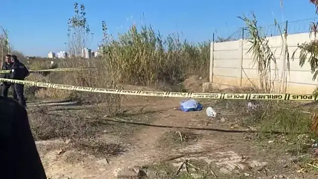 Yol kenarında kadın cesedi bulundu