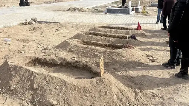 Zehirlenen Böcek Ailesi yan yana defnedildi