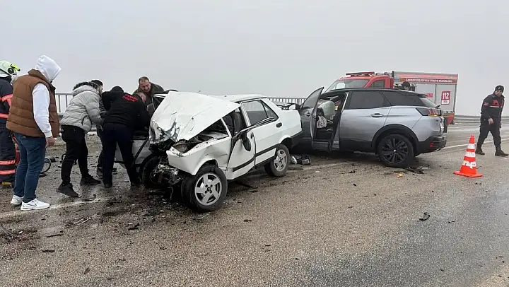 Cip İle Çarpışan Şahin Kağıt Gibi Ezildi