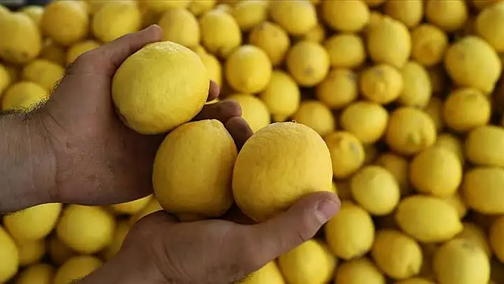 Hatay'dan Dubai'ye ihraç edilen 71 ton limonda pestisit çıktı