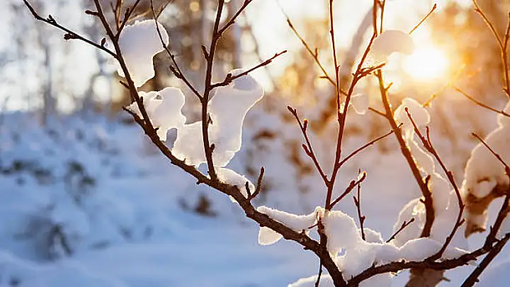 Meteoroloji uyardı: Hava sıcaklıklarının, 3-5 derece artması bekleniyor
