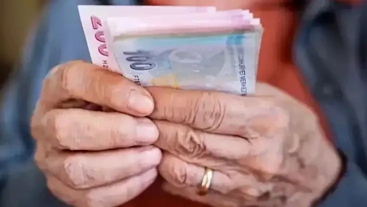 Vatandaşlık Maaşı Detayları Netleşti! Kimler Ne Kadar Alacak?