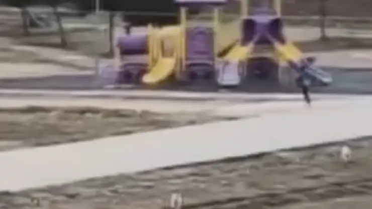 10 Yaşındaki Çocuk Sokak Köpekleri Saldırısından Canını Zor Kurtardı