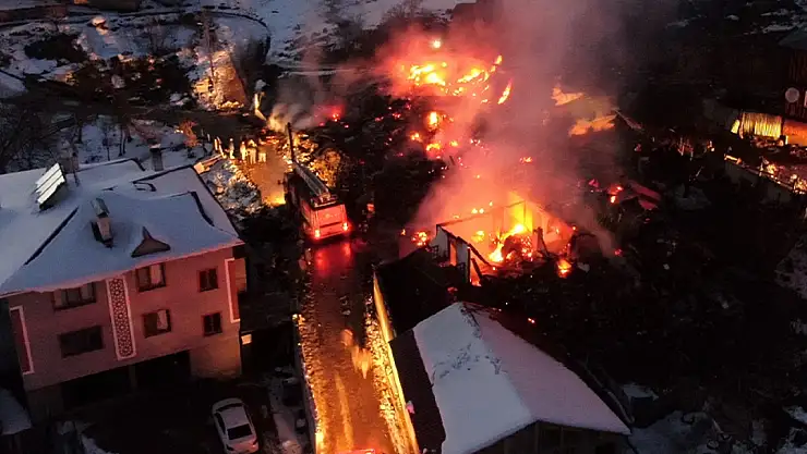 3 ev ve 1 ahır küle döndü, 55 hayvan telef oldu