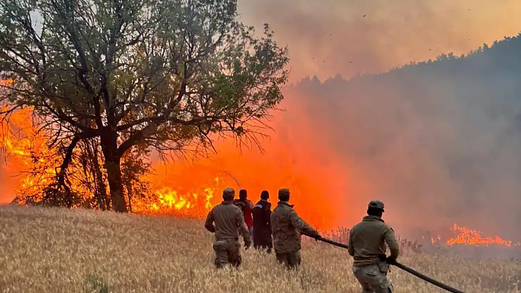 61 orman yangıyla ilgili gözaltına alınan 23 kişiden 4'ü tutuklandı