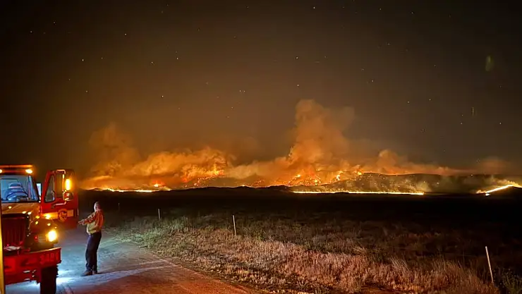 ABD'de orman yangını: 52 bin dönümden fazla alan kül oldu