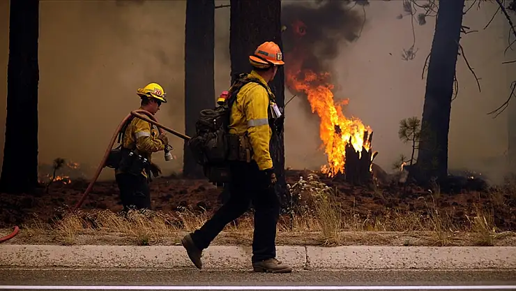 ABD'de yangın: 3 bin dönümden fazla alan küle döndü