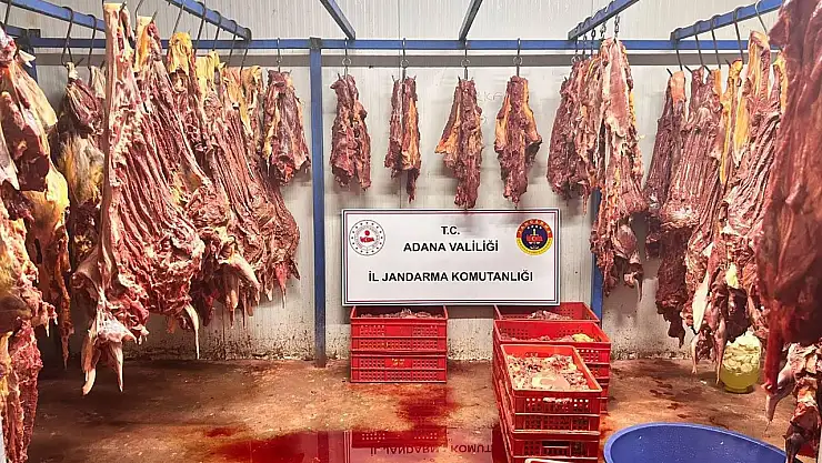 Adana'da kaçak et operasyonu: 3 ton bozulmuş at eti ele geçirildi!