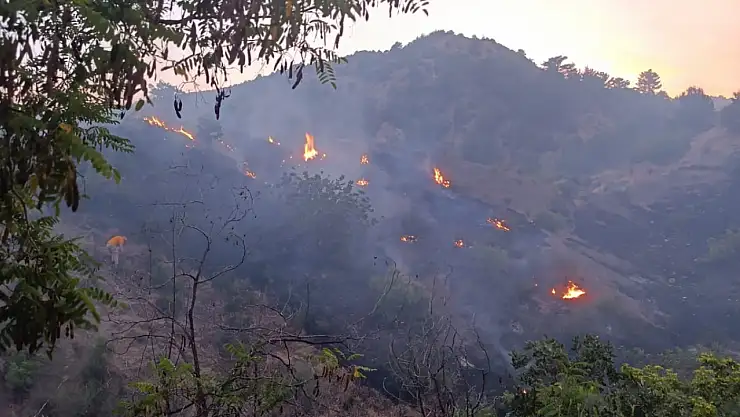 Adıyaman'da Korkutan Orman Yangını