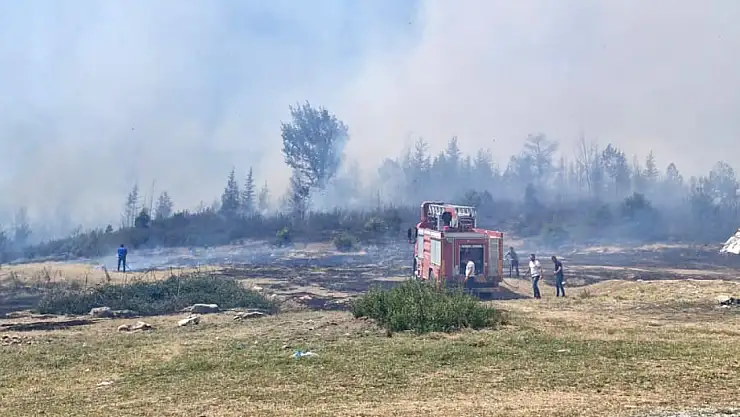 Afyon'da Orman Yangını! Valilik Ateş Yakmayı Yasakladı