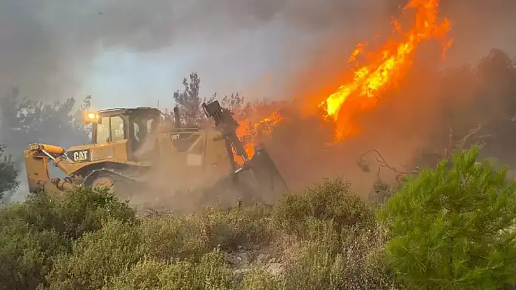 Akhisar'da orman yangını