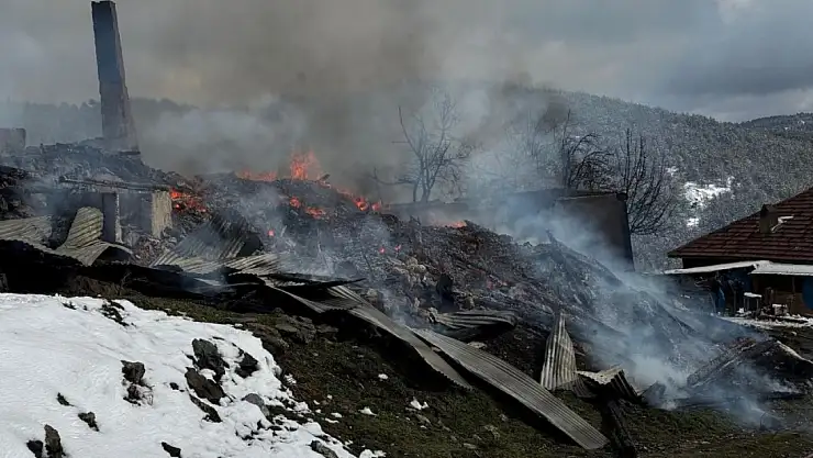 Alevlere teslim olan ev ve ahırlar küle döndü, yangın için su taşıyan tanker şarampole devrildi