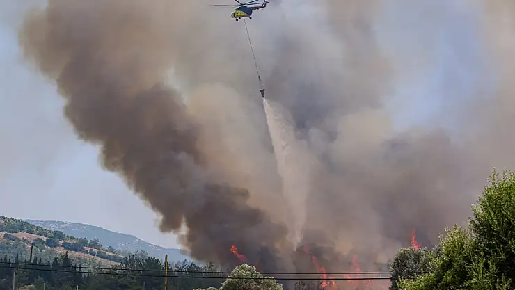 Alevlerle mücadele sürüyor: İzmir Bornova'daki orman yangını Buca'ya sıçradı!