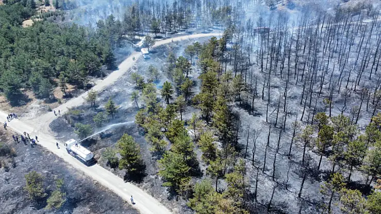 Ankara'da Eymir Gölü çevresindeki ormanlık alanda yangın! Validen açıklama