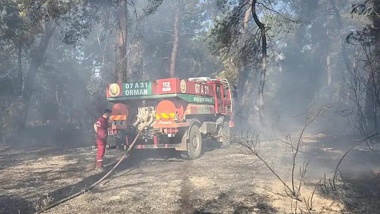 Antalya'da 2 ilçede orman yangını: Çok sayıda ekip gönderildi!