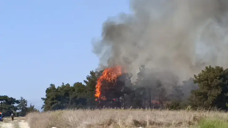 Arazide başlayan yangın ormanlık alana sıçradı