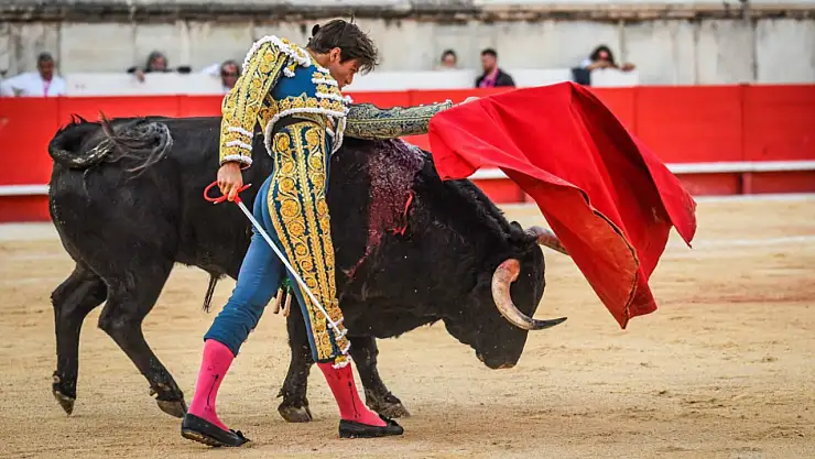 Artık Boğa Güreşleri Yasaklanıyor
