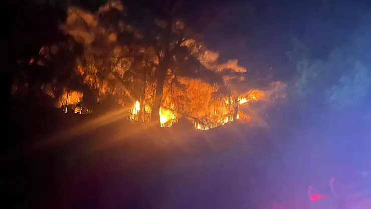 Aydın'da 26 Hektar Ormanlık Alan Küle Döndü