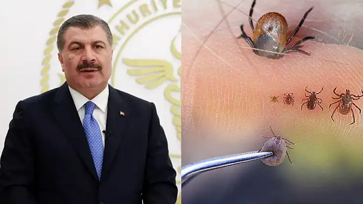 Bakan Koca'dan Kene Uyarısı! Piknik Alanlarında Dikkatli Olun