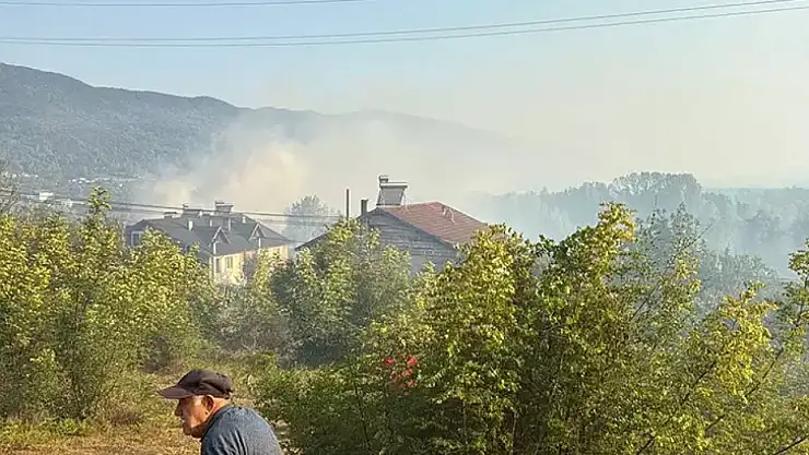 Bartın'da orman yangını