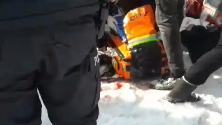 Başıboş Köpekler Yaraladığı Kız Çocuğu Can Verdi