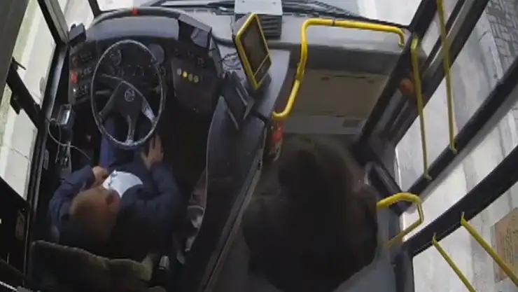 Belgrad Ormanı'nda kaybolan Ece Gürel'e ilişkin yeni gelişme