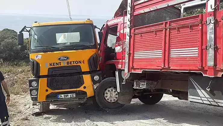 Beton mikseri ile kamyonun arasında sıkışan sürücü öldü