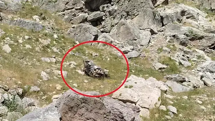 Bilirkişi Ekibinin Otomobili, Şarampole Yuvarlandı 5 Ölü