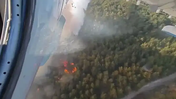 Buca'da orman yangını