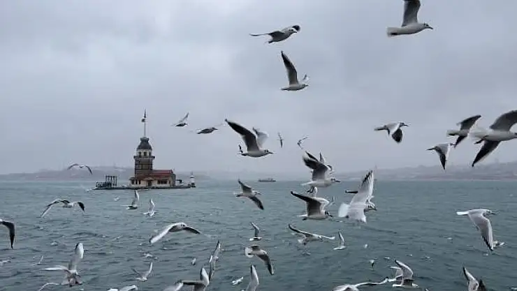 Bugün hava kaç derece olacak? Yağış var mı?