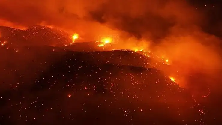 Bursa'da havai fişek atarak orman yangınına sebep olan 4 kişi yakalandı