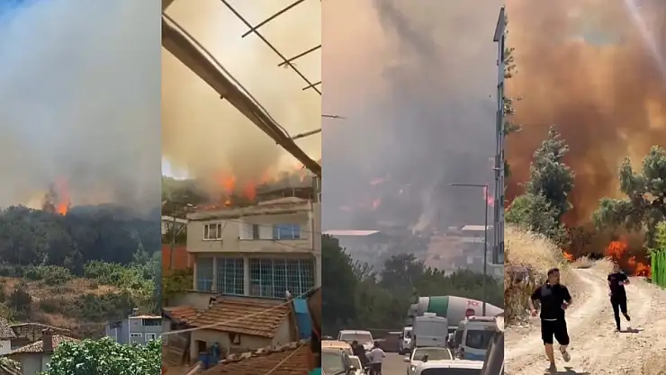 Bursa'da orman yangını köydeki evlere sıçradı! Yangın kontrol altına alındı mı?