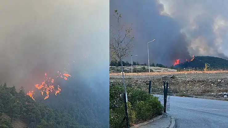Bursa'nın Ciğerleri Yanıyor