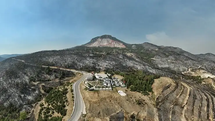 Bursa'nın Gürsu ilçesinde çıkan yangının tahribatı ortaya çıktı