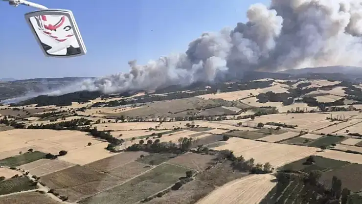Çanakkale'de orman yangını çıktı