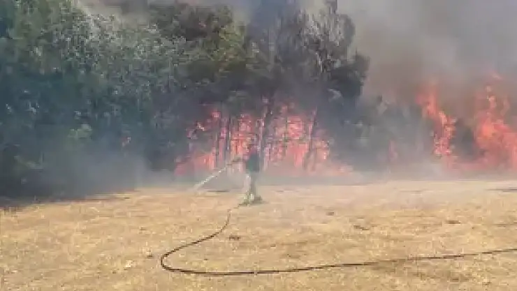Çanakkale'de orman yangını yerleşim yerlerine sıçradı!