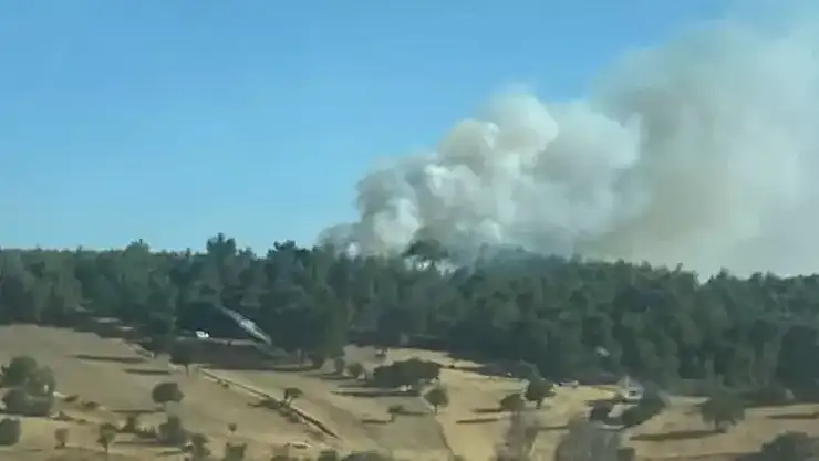 Çanakkale'de orman yangını