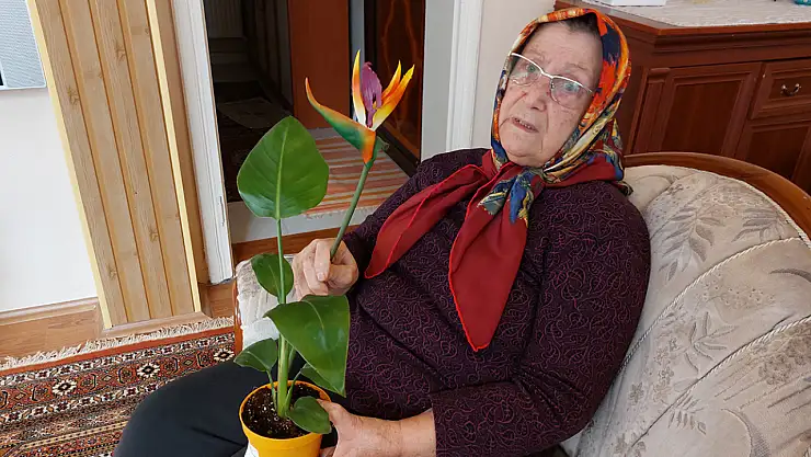 Canlı Diye Aldığı Çiçek Plastik Çıktı