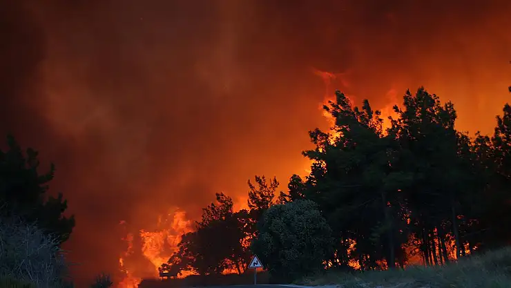 Çıkan Yangınlarla İlgili 3 Şüpheli Tutuklandı