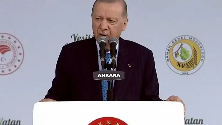 Cumhurbaşkanı Erdoğan'dan Orman Yangınlarına İlişkin Açıklama