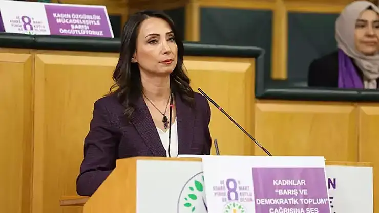 DEM Parti Eş Başkanı Hatimoğulları: 'Siyasi parti ziyaretleri yapacağız, bütün detaylarıyla henüz planlamış değiliz'