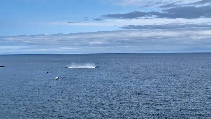 Denizde Bomba Paniği