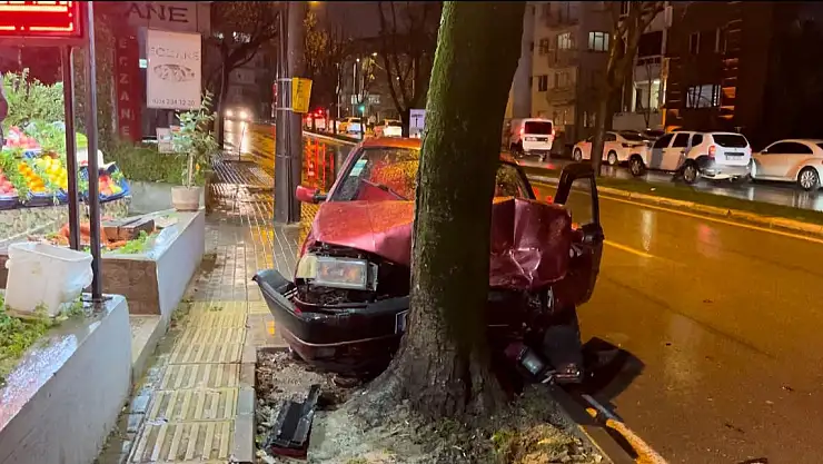 Direksiyon başında kalp krizi geçiren sürücü kaza yaparak durdu