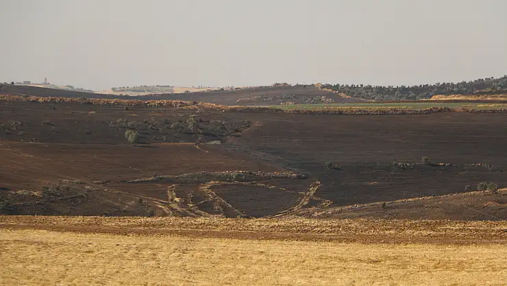 Diyarbakır'da Yangınının Boyutu Gün Ağarınca Ortaya Çıktı