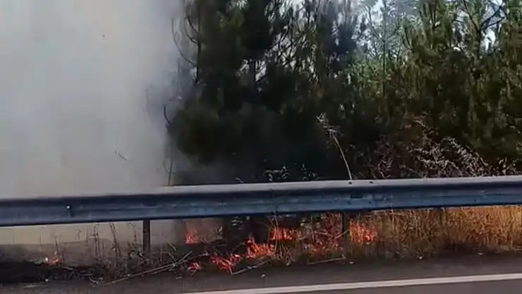Düğün konvoyundaki meşale çamlık alanı yaktı