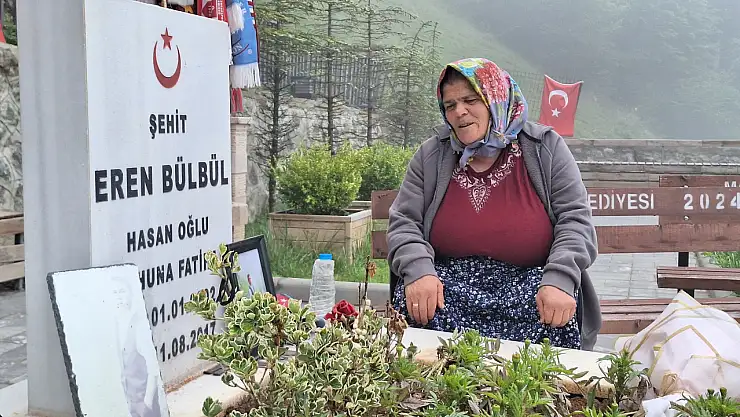 Eren Bülbül'ün annesinden PKK'nın feshedilmesine dikkat çeken değerlendirme