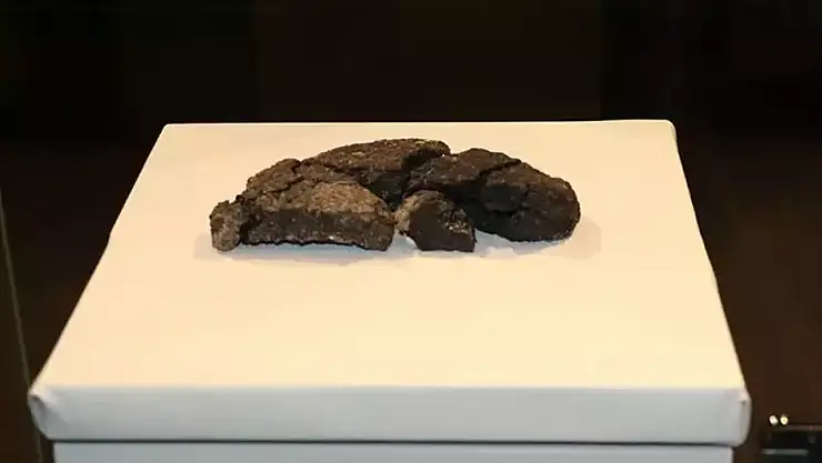 Eskişehir'de 5 bin yıllık ekmek bulundu