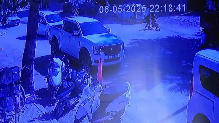 Evden kaçan köpek sokakta yürüyen kızlara saldırdı