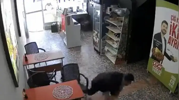 F-16 Sesiyle Deprem Korkusuna Kapılan Esnaf Emekleyerek Kaçmaya Çalıştı